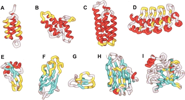 A new generation of protein display scaffolds for molecular recognition.